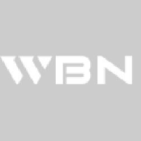 深圳华宝利电子有限公司_企业Logo