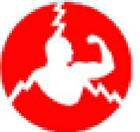开平市得劳斯集装箱有限公司_企业Logo