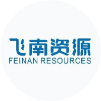 广东飞南资源利用股份有限公司_企业Logo
