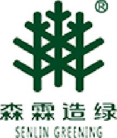 广东森霖造绿有限公司_企业Logo