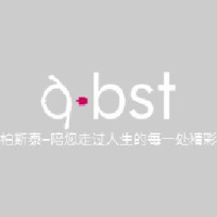深圳市柏斯泰电脑配件有限公司_企业Logo