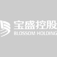 浙江宝盛建设集团有限公司_企业Logo
