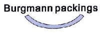 慈溪博格曼密封材料有限公司_企业Logo