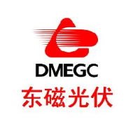 横店集团东磁股份有限公司_企业Logo