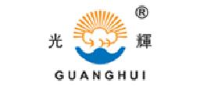 浙江光辉电子有限公司_企业Logo