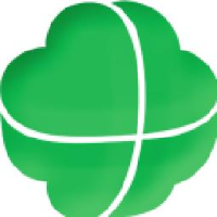 重庆市新大兴实业（集团）有限公司_企业Logo