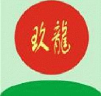 玖龙纸业（重庆）有限公司_企业Logo