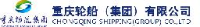 重庆轮船（集团）有限公司_企业Logo