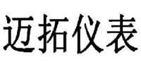 迈拓仪表股份有限公司_企业Logo