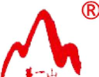 山东泰安泰一山衡器有限公司_企业Logo