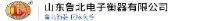 山东鲁北电子衡器有限公司_企业Logo