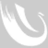 青岛贝斯迈特化工有限公司_企业Logo
