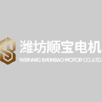 潍坊顺宝电机有限公司_企业Logo