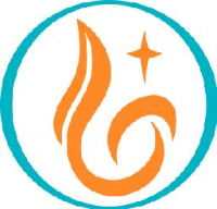 淄博新百灵工贸有限公司_企业Logo