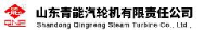 山东青能动力集团股份有限公司_企业Logo