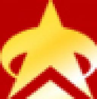 山东新星集团有限公司_企业Logo