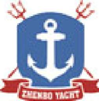 青岛震泊游艇有限公司_企业Logo