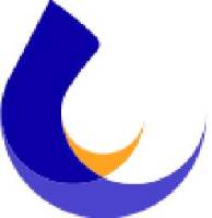 青岛石大华通科技有限公司_企业Logo