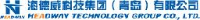 海德威科技集团（青岛）有限公司_企业Logo