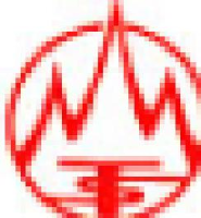 山东泰山轮胎有限公司_企业Logo