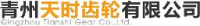 青州天时齿轮有限公司_企业Logo