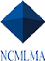 青岛新正锂业有限公司_企业Logo