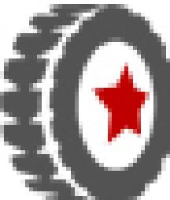 青岛双星轮胎工业有限公司_企业Logo