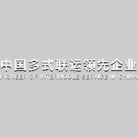 深圳市中海通物流股份有限公司_企业Logo