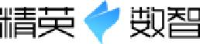 精英数智科技股份有限公司_企业Logo