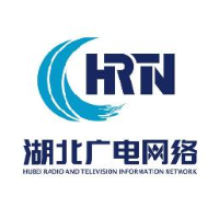 湖北省广播电视信息网络股份有限公司_企业Logo