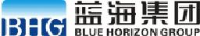 山东蓝海股份有限公司_企业Logo