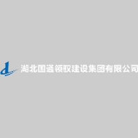 湖北国通领驭建设集团有限公司_企业Logo