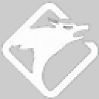 重庆郎拓机电集团有限公司_企业Logo
