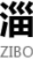 淄博晴朗工贸有限公司_企业Logo