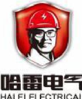 山东哈雷电力科技有限公司_企业Logo