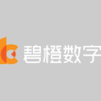 杭州碧橙数字技术股份有限公司_企业Logo