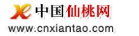 仙桃市网络新闻中心_企业Logo