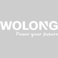 卧龙控股集团有限公司_企业Logo