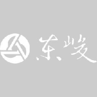 武汉东峻汽车销售服务有限公司_企业Logo