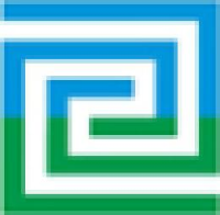 安徽集友新材料股份有限公司_企业Logo