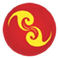 吉林省中研高分子材料股份有限公司_企业Logo