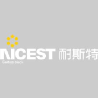 山东耐斯特炭黑有限公司_企业Logo
