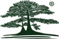 广东松泰兴化妆品有限公司_企业Logo