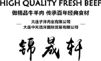 大连中天浩洋国际贸易有限公司_企业Logo