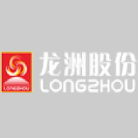 龙洲集团股份有限公司_企业Logo