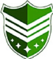 山东银盾实业股份有限公司_企业Logo