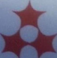 福建星光造纸集团有限公司_企业Logo