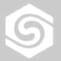 山东圣泉新材料股份有限公司_企业Logo