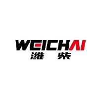 潍柴重机股份有限公司_企业Logo