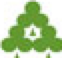 汇胜集团股份有限公司_企业Logo